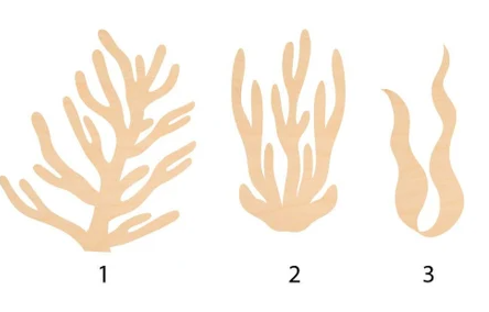CORAL - WOOD