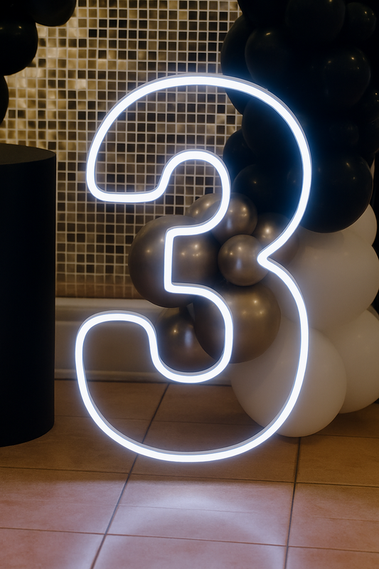 Neon Numbers and Letters