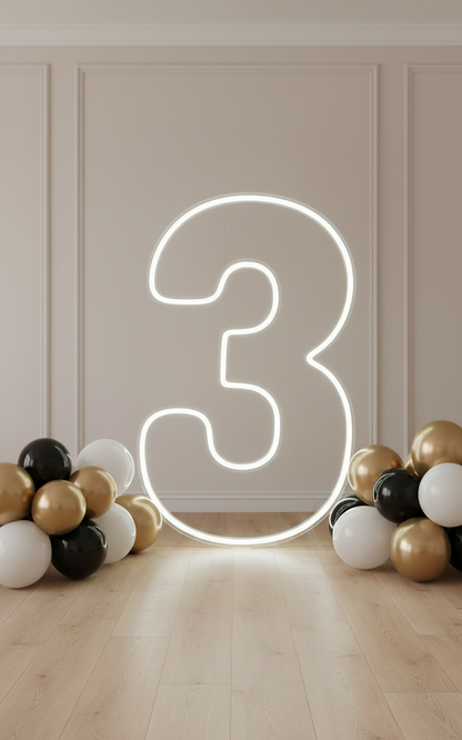 Neon Numbers and Letters